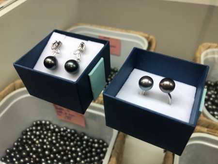 パペーテでお買い物！おすすめのお土産① 黒蝶真珠