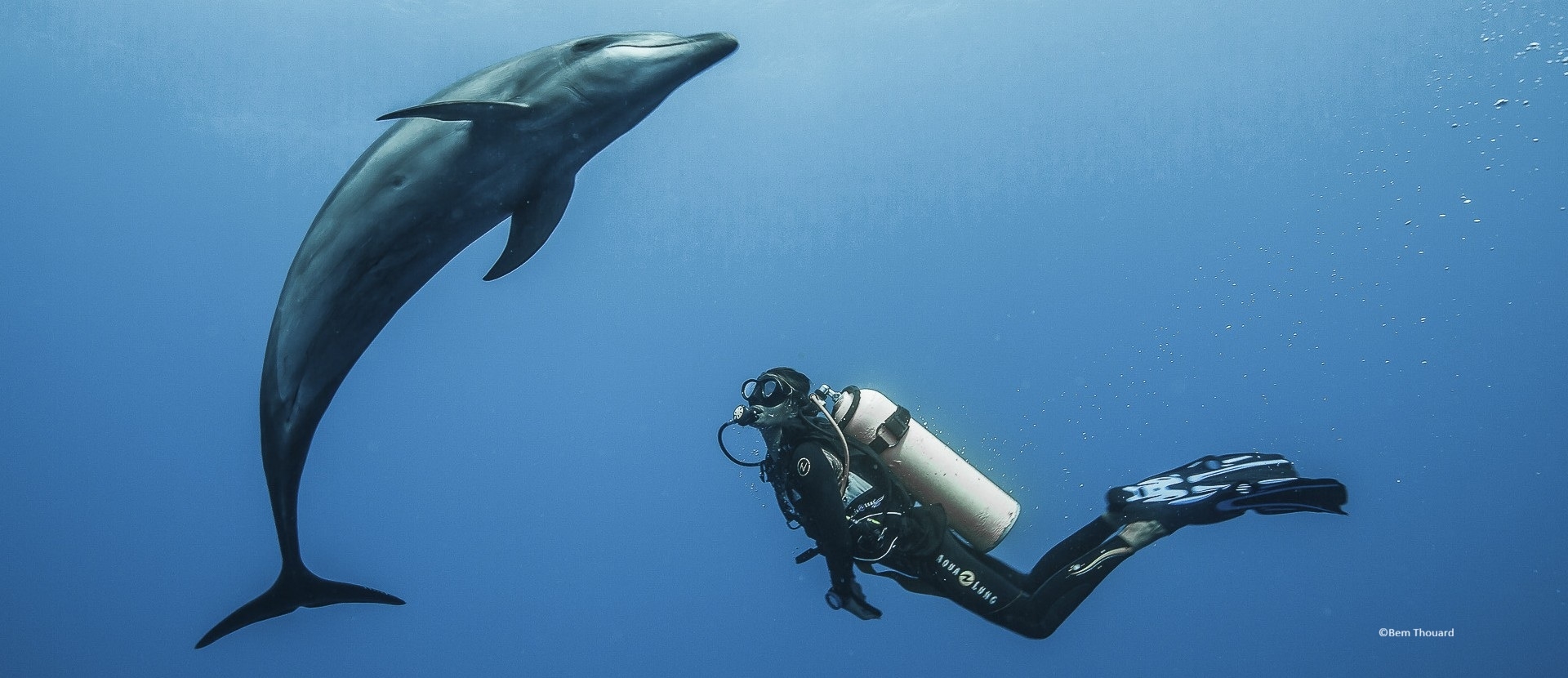 Diving"