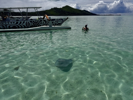 ボラボラ島発　モツピクニックツアー