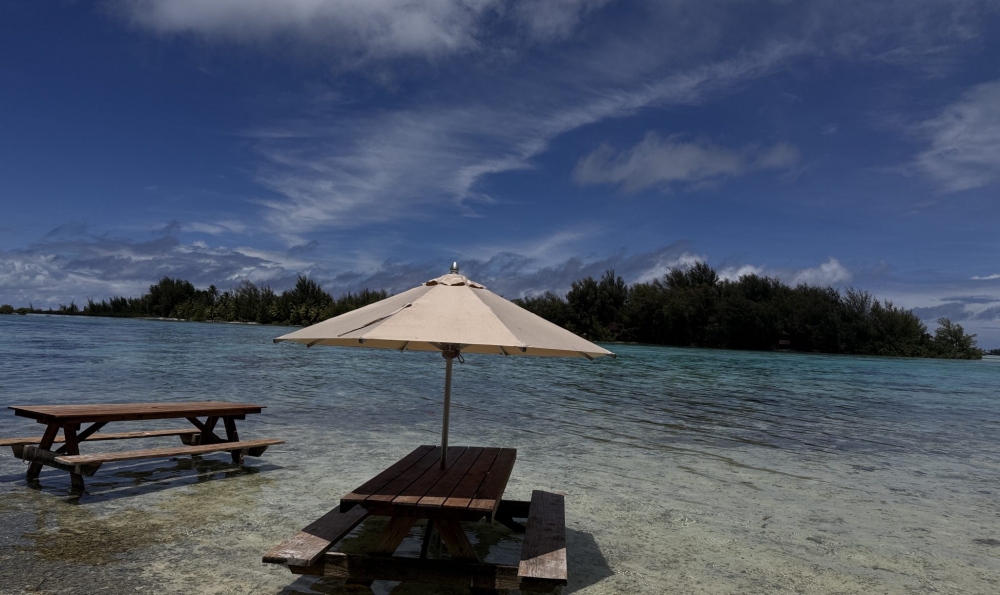 ボラボラ島発　モツピクニックツアー"