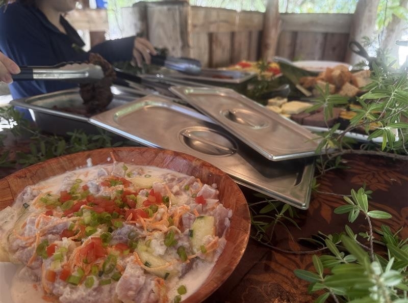 ボラボラ島発　モツピクニックツアー"